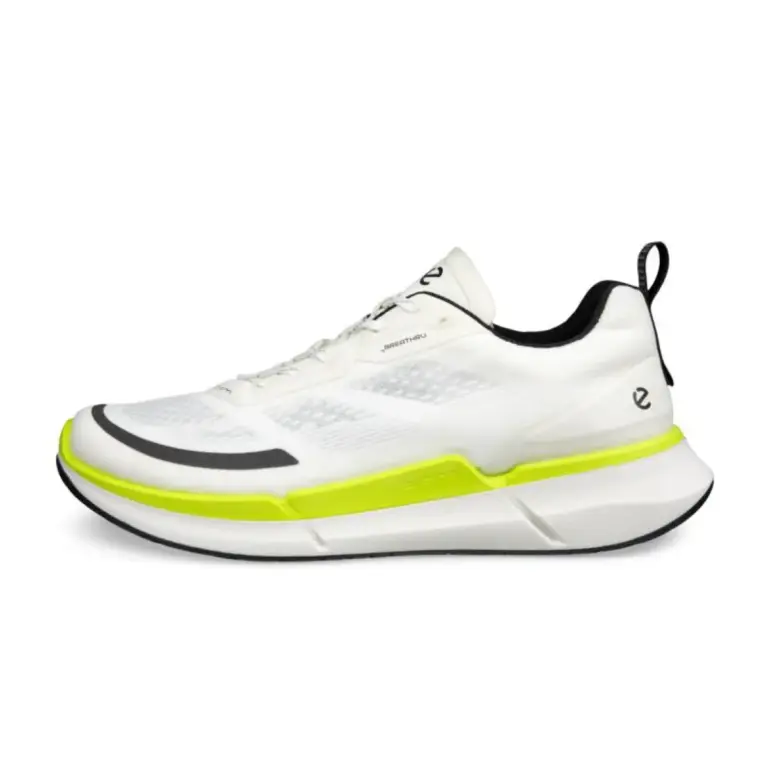 Ecco Biom 2.2 Low Herresko