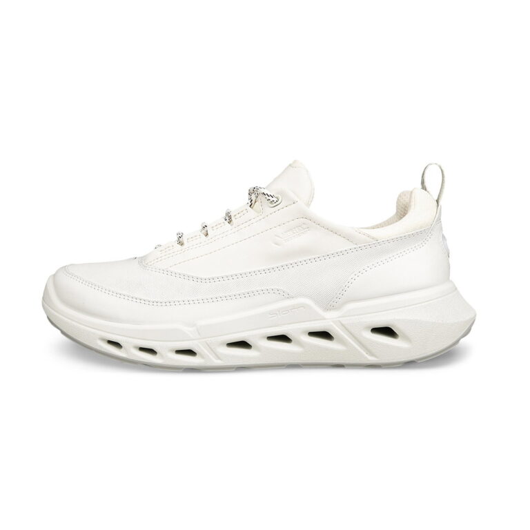 Ecco Biom 720 Gore-Tex Damesko