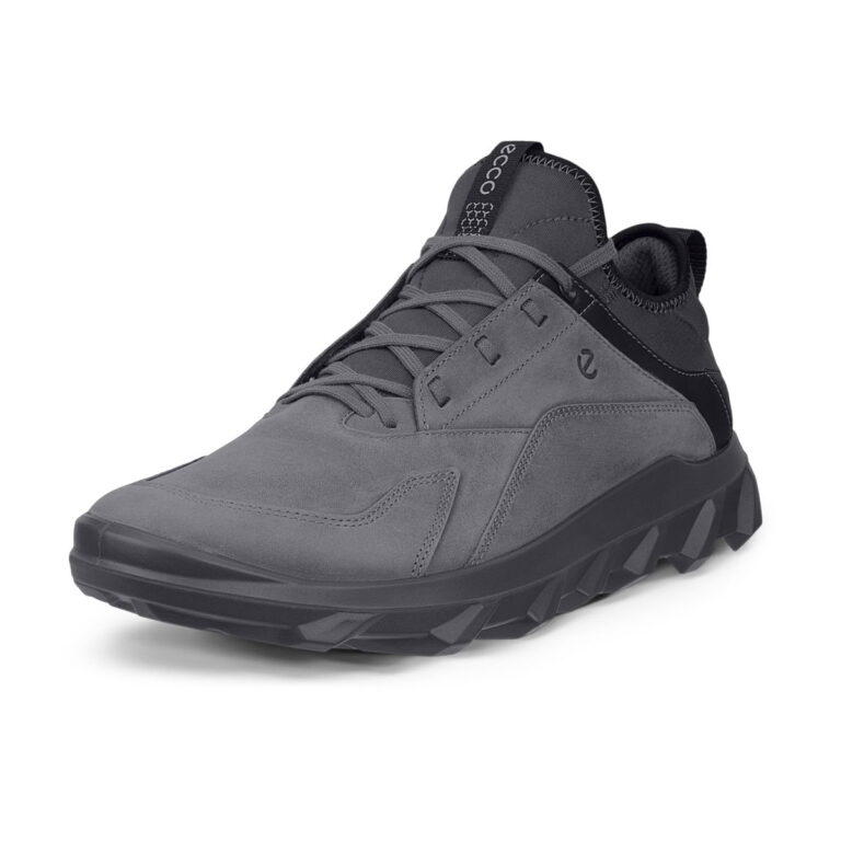 Ecco MX Low Herresko